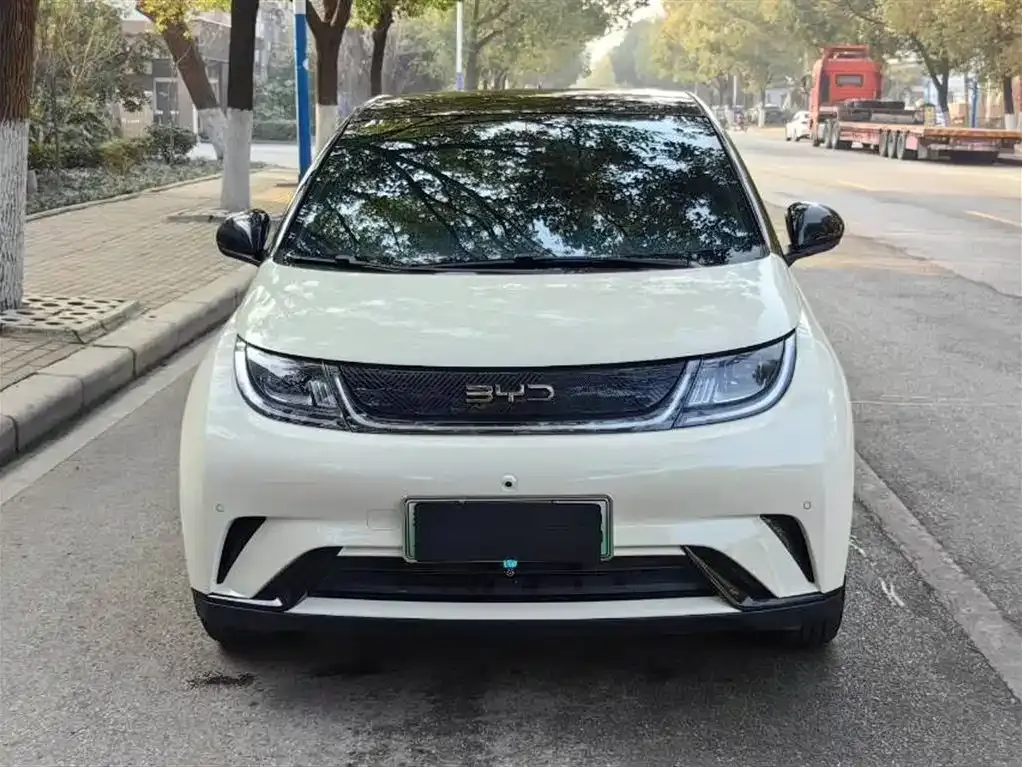 BYD Dolphin 2025 из CN, фото 6