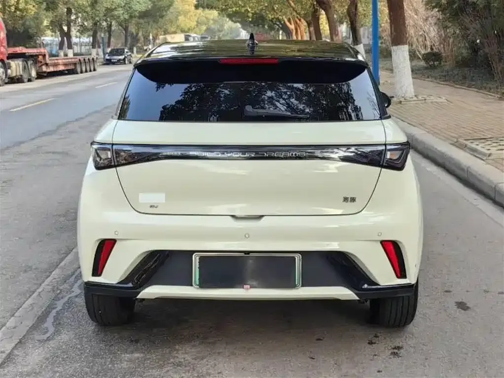 BYD Dolphin 2025 из CN, фото 5