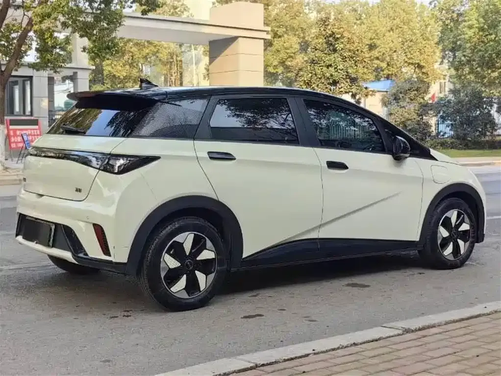 BYD Dolphin 2025 из CN, фото 4