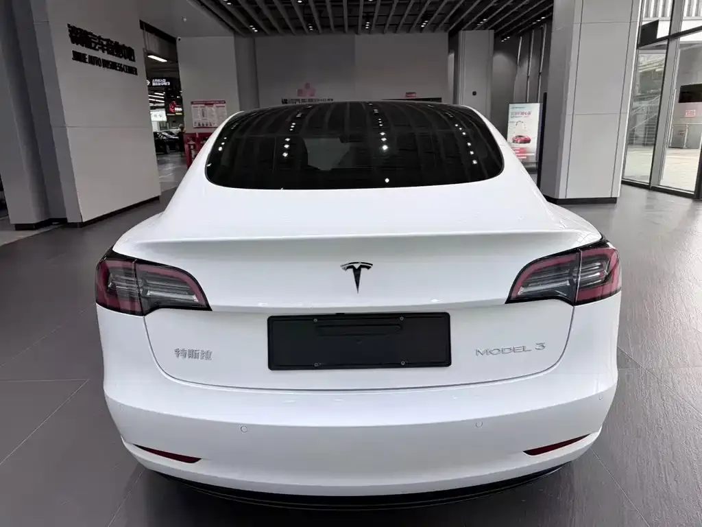 Tesla Model 3 2023 из CN, фото 4
