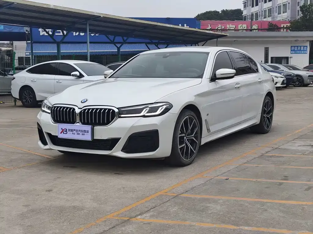 BMW 5 Series 2021 из CN, фото 1