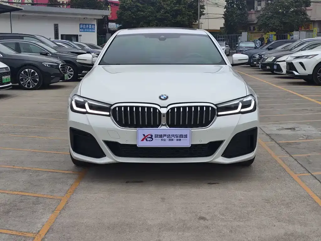 BMW 5 Series 2021 из CN, фото 8