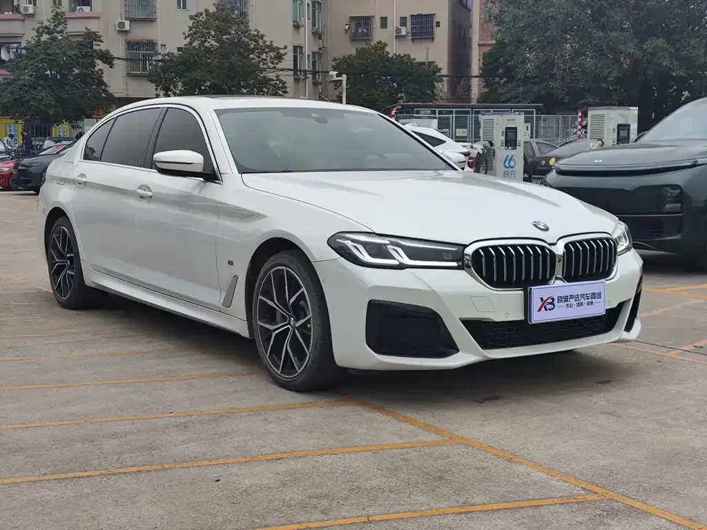 BMW 5 Series 2021 из CN, фото 3