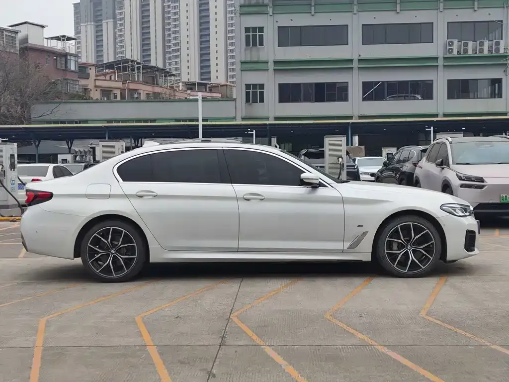 BMW 5 Series 2021 из CN, фото 9