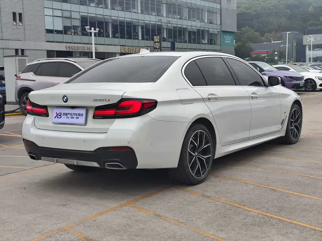 BMW 5 Series 2021 из CN, фото 10