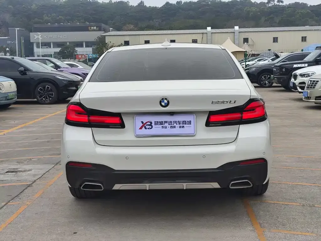 BMW 5 Series 2021 из CN, фото 2