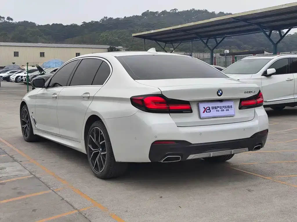 BMW 5 Series 2021 из CN, фото 5
