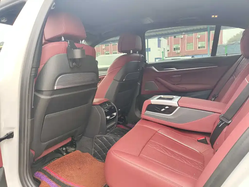 BMW 5 Series 2021 из CN, фото 7