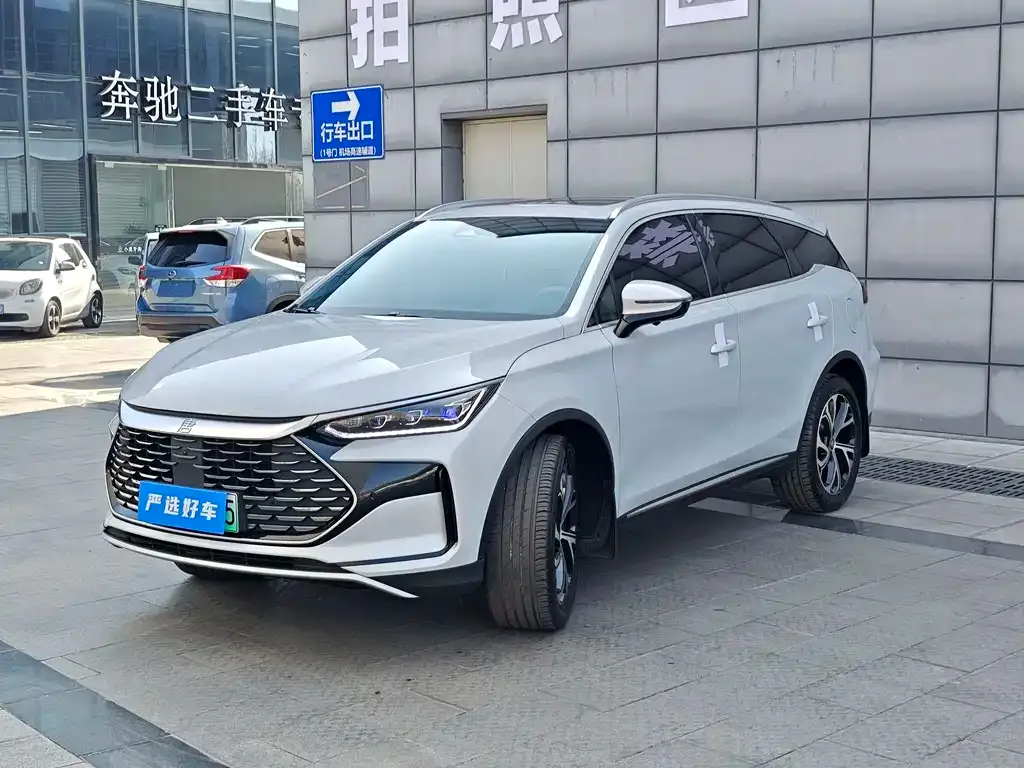 BYD Tang New Energy 2024 из CN, фото 1