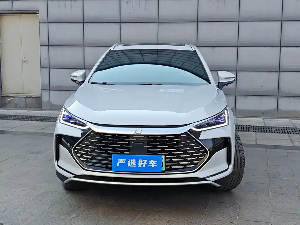 BYD Tang New Energy 2024 из CN, фото 5