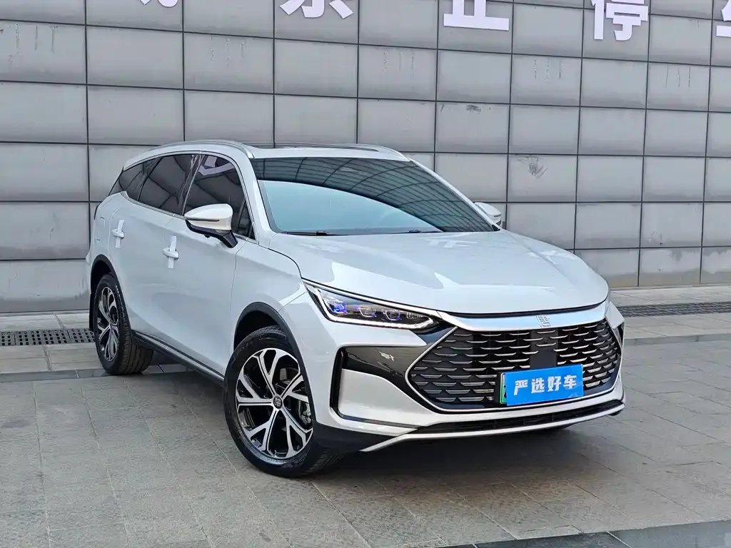 BYD Tang New Energy 2024 из CN, фото 7