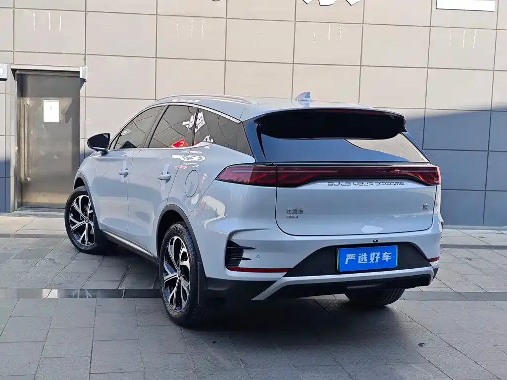 BYD Tang New Energy 2024 из CN, фото 3