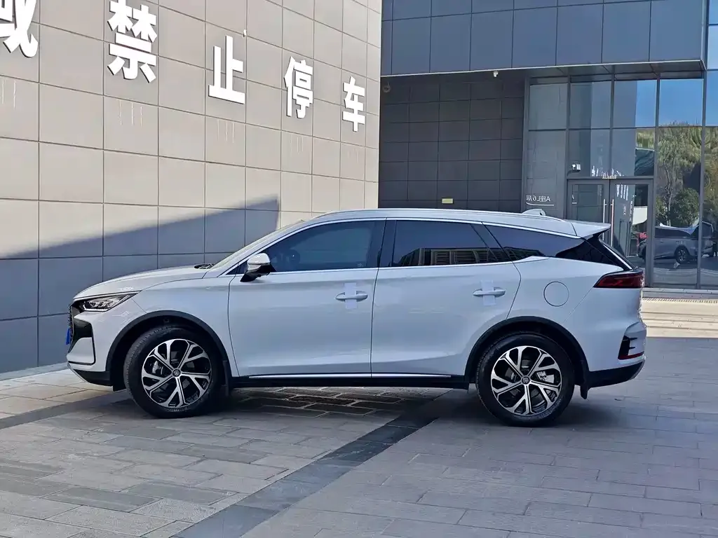 BYD Tang New Energy 2024 из CN, фото 9