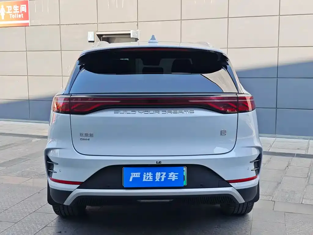 BYD Tang New Energy 2024 из CN, фото 2