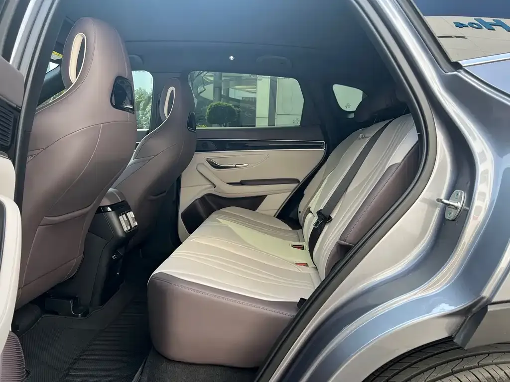 BYD PLUS New Energy 2024 из CN, фото 8