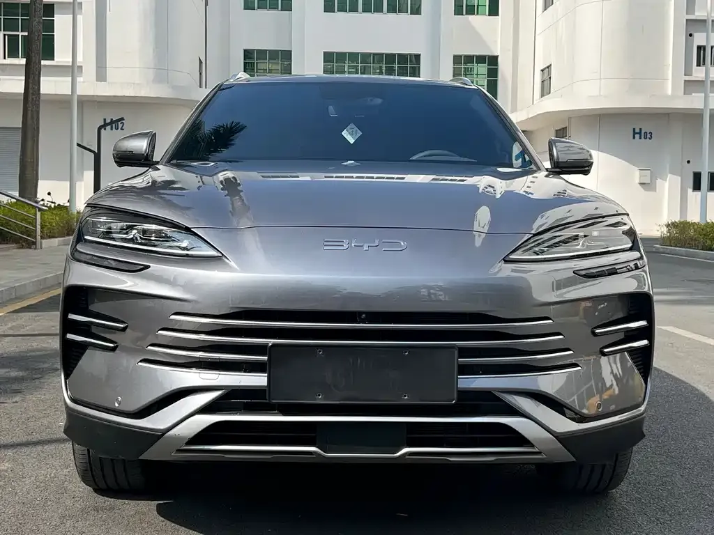 BYD PLUS New Energy 2024 из CN, фото 3