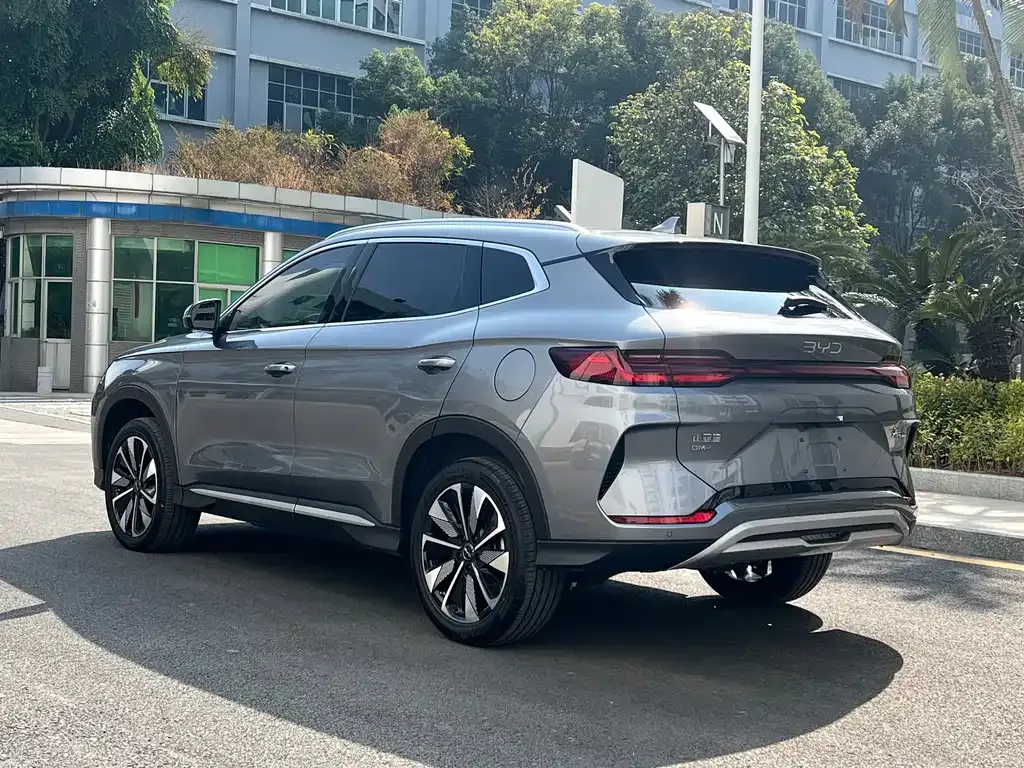 BYD PLUS New Energy 2024 из CN, фото 5