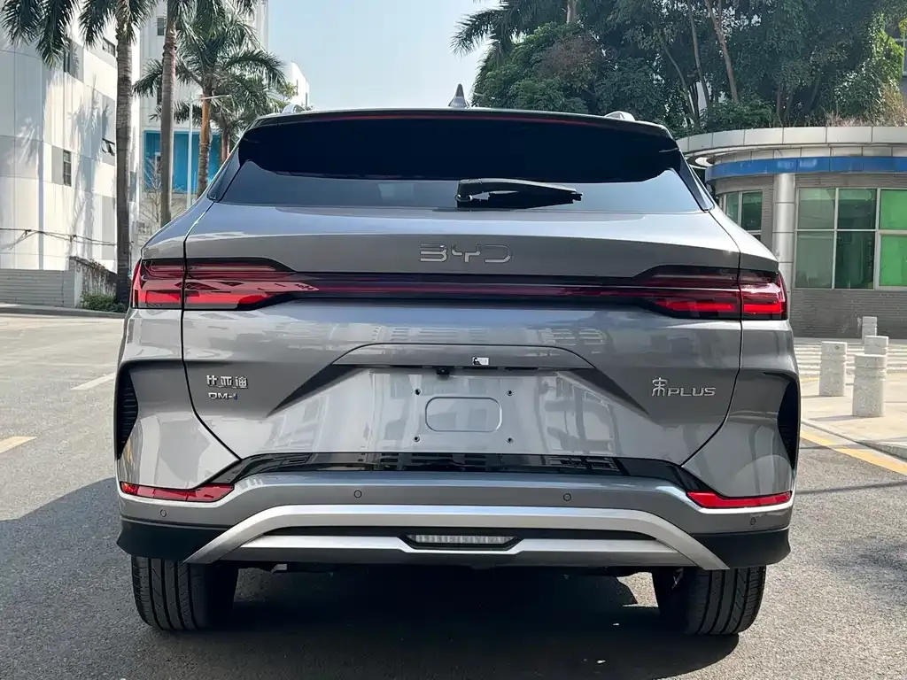 BYD PLUS New Energy 2024 из CN, фото 7