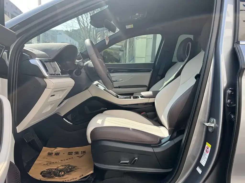 BYD PLUS New Energy 2024 из CN, фото 4