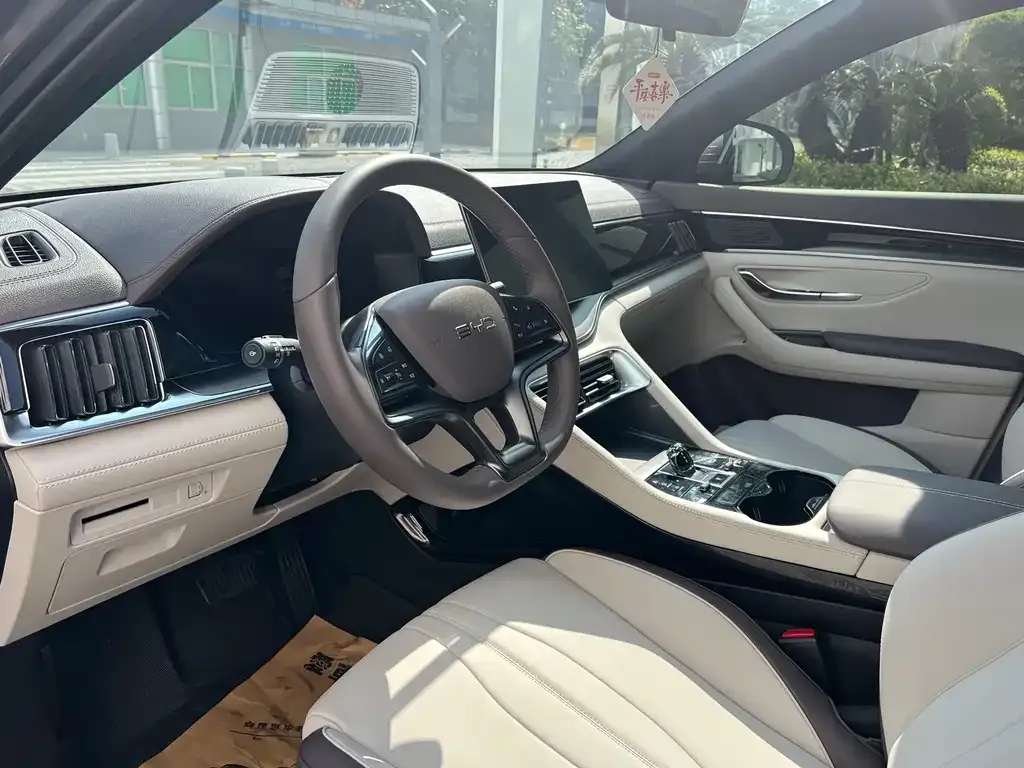 BYD PLUS New Energy 2024 из CN, фото 2