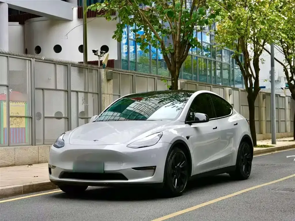 Tesla Model Y 2021 из CN, фото 1