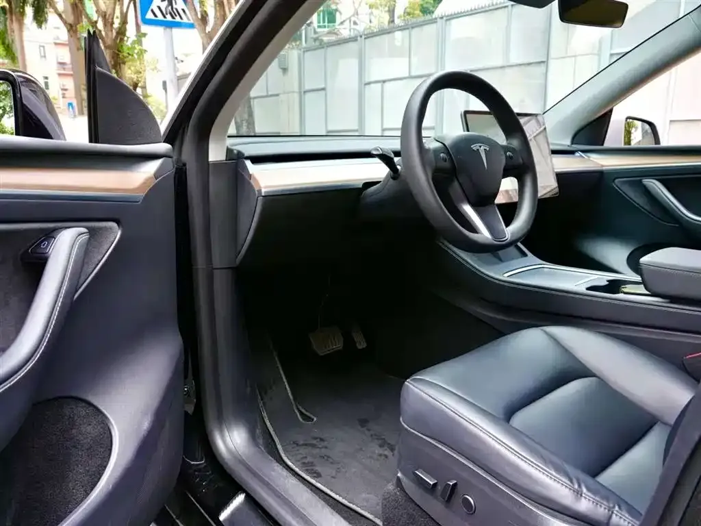 Tesla Model Y 2021 из CN, фото 5