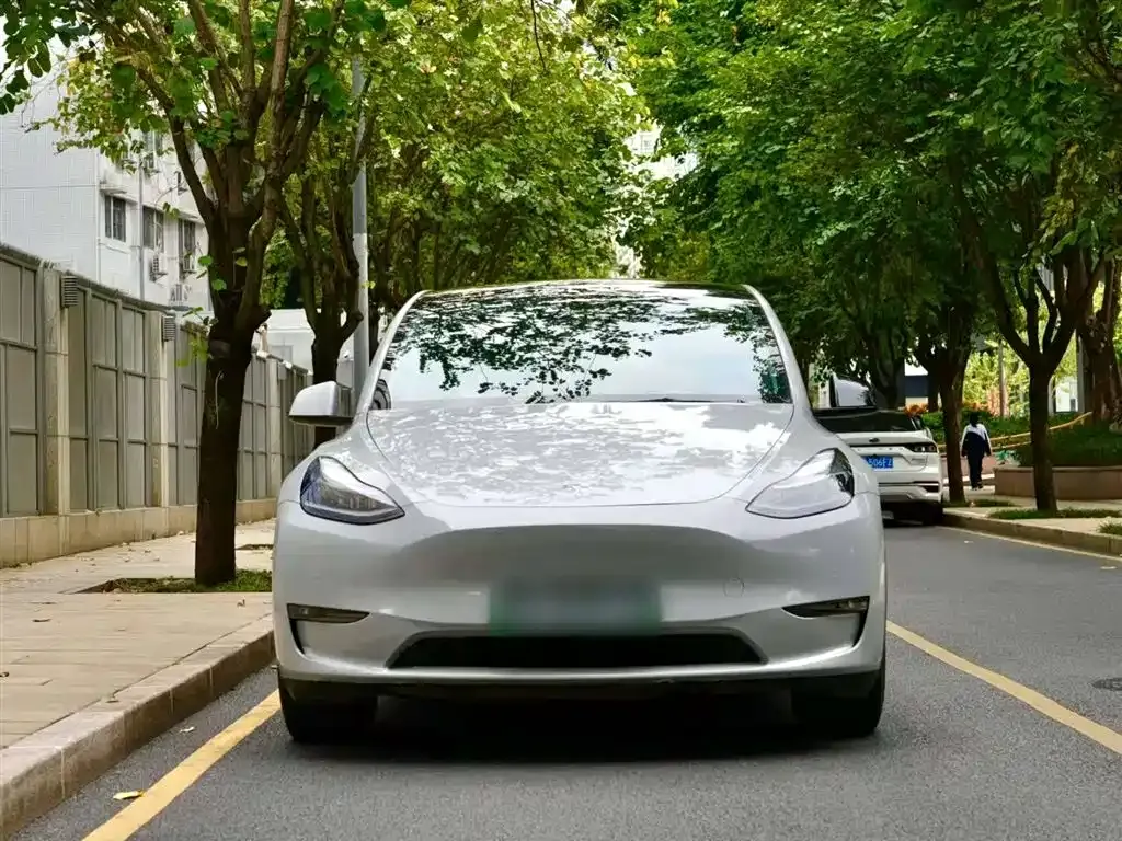Tesla Model Y 2021 из CN, фото 6