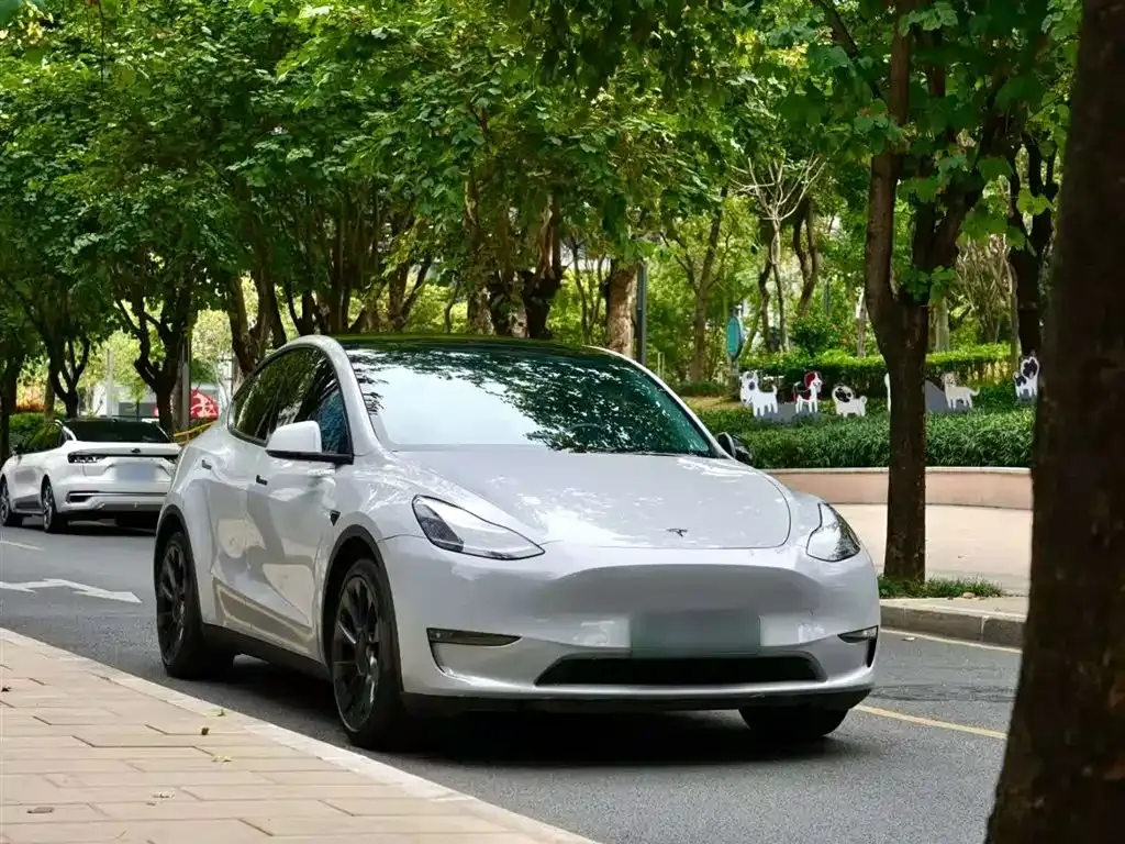 Tesla Model Y 2021 из CN, фото 9