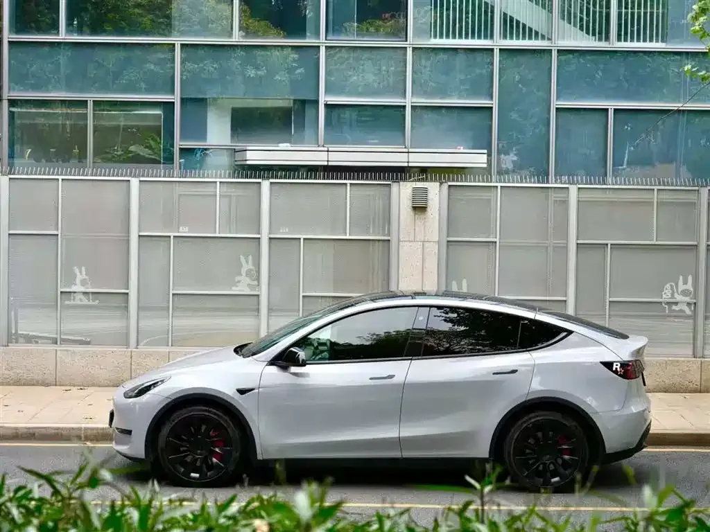 Tesla Model Y 2021 из CN, фото 3