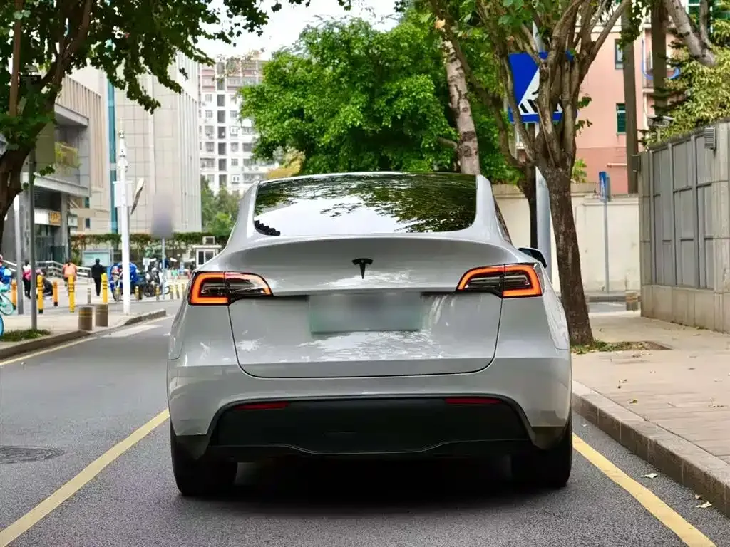 Tesla Model Y 2021 из CN, фото 7