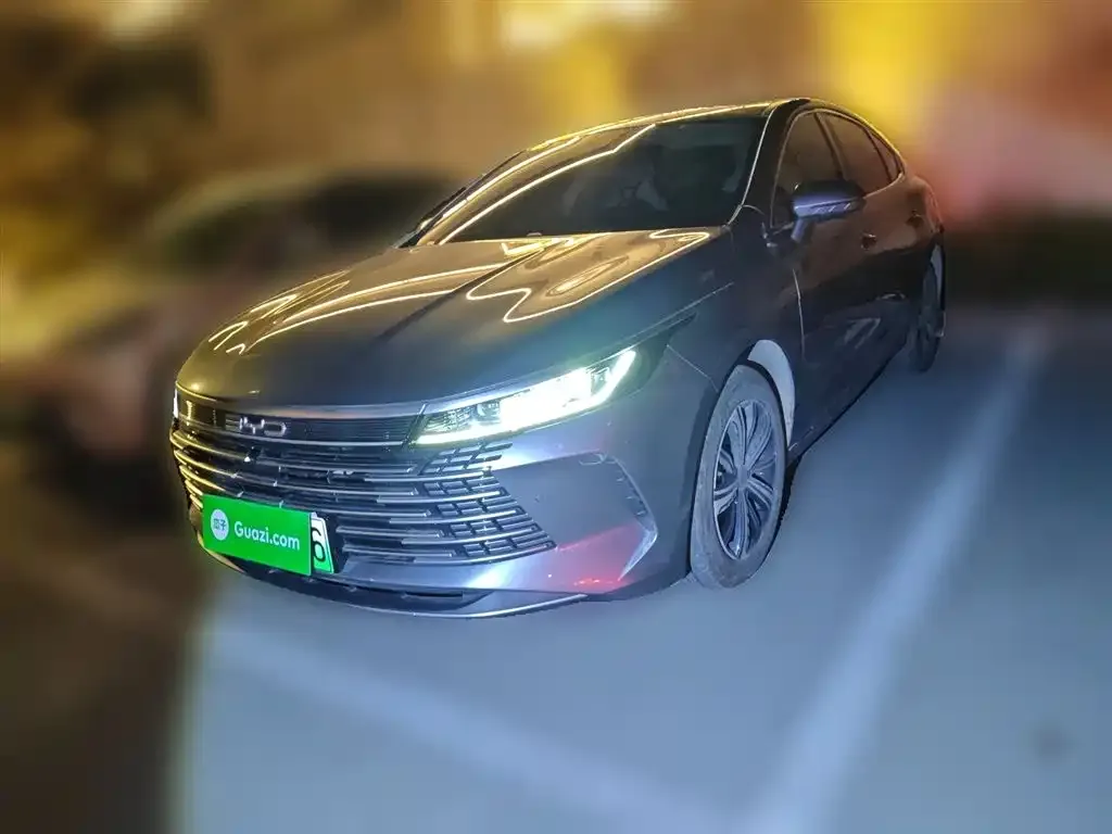 BYD Destroyer 05 2024 из CN, фото 6