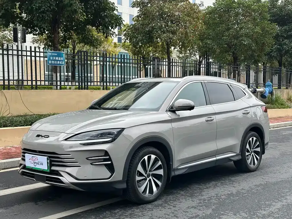 BYD PLUS New Energy 2023 из CN, фото 1