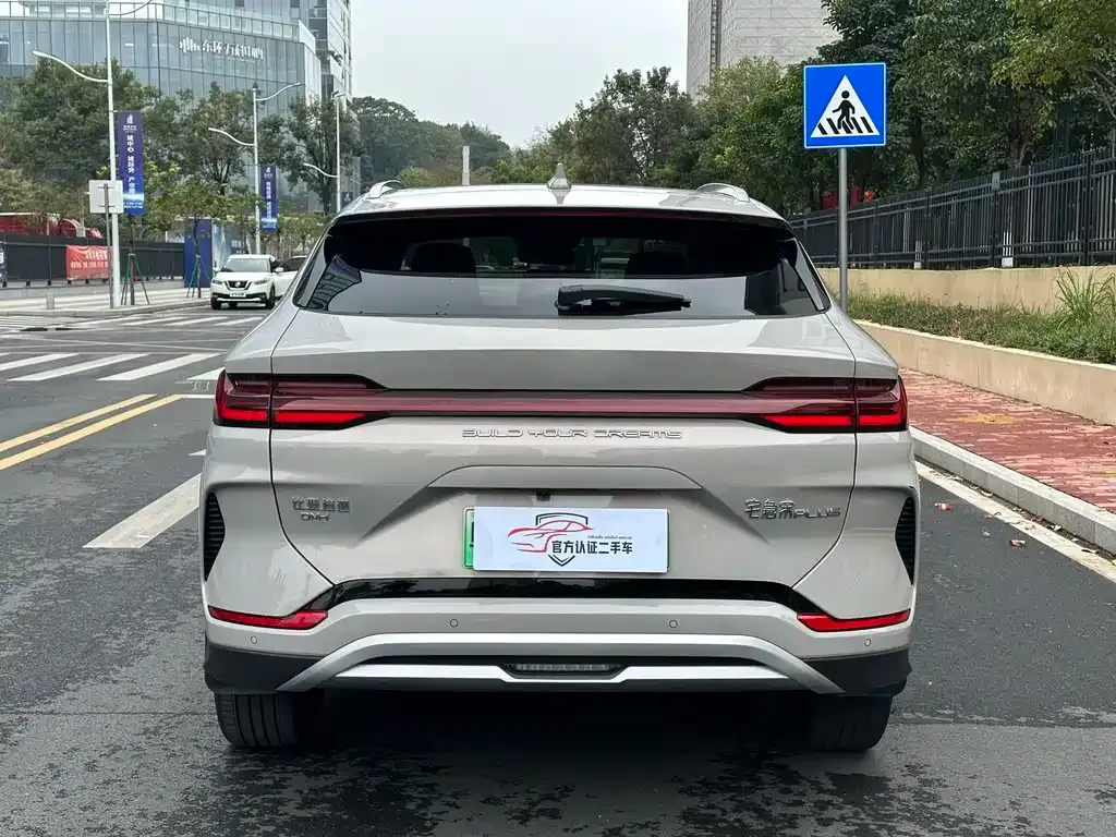 BYD PLUS New Energy 2023 из CN, фото 10