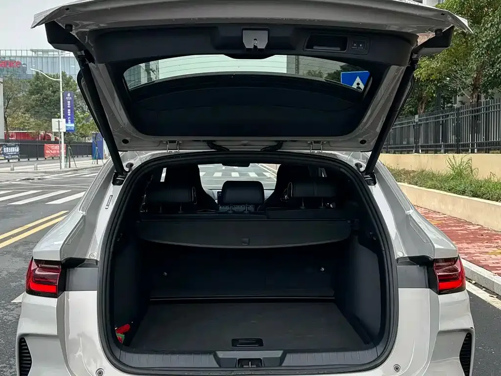 BYD PLUS New Energy 2023 из CN, фото 4