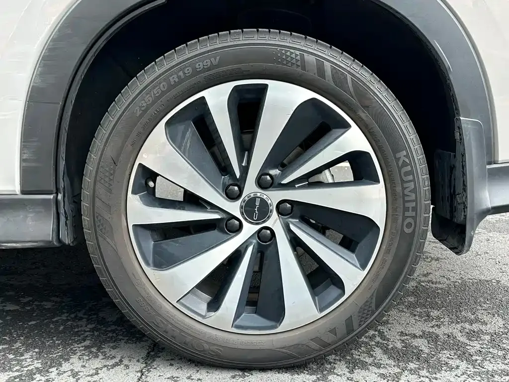 BYD PLUS New Energy 2023 из CN, фото 6