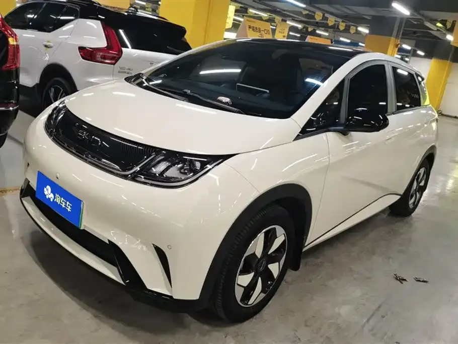 BYD Dolphin 2024 из CN, фото 1