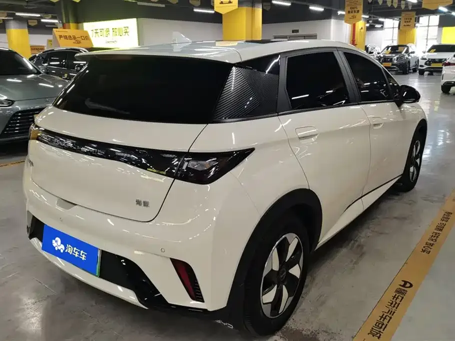 BYD Dolphin 2024 из CN, фото 10