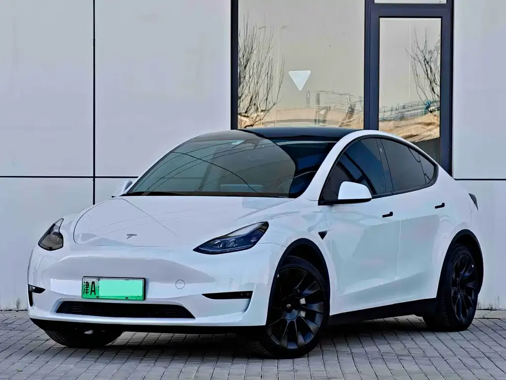 Tesla Model Y — фото 1