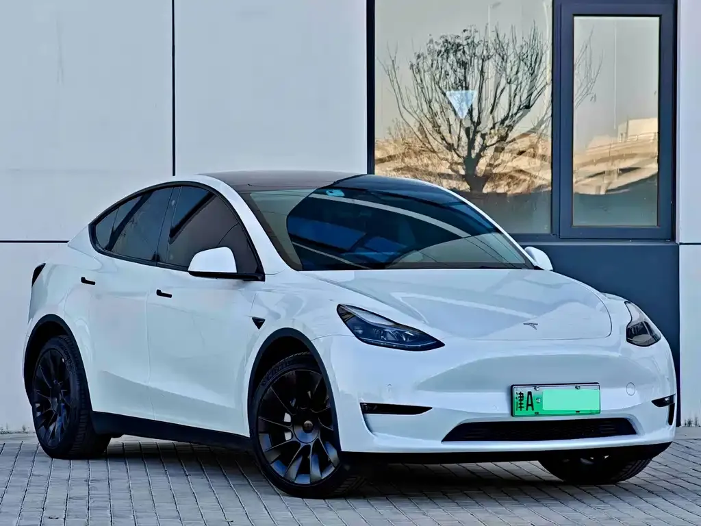 Tesla Model Y — фото 10