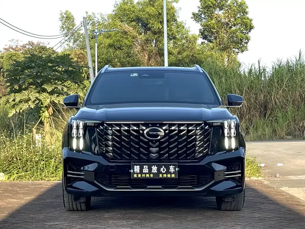 GAC Motor Trumpchi GS8 — фото 3