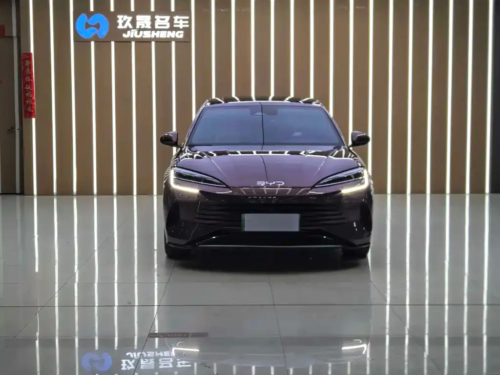 BYD Seal 2024 из CN, фото 2