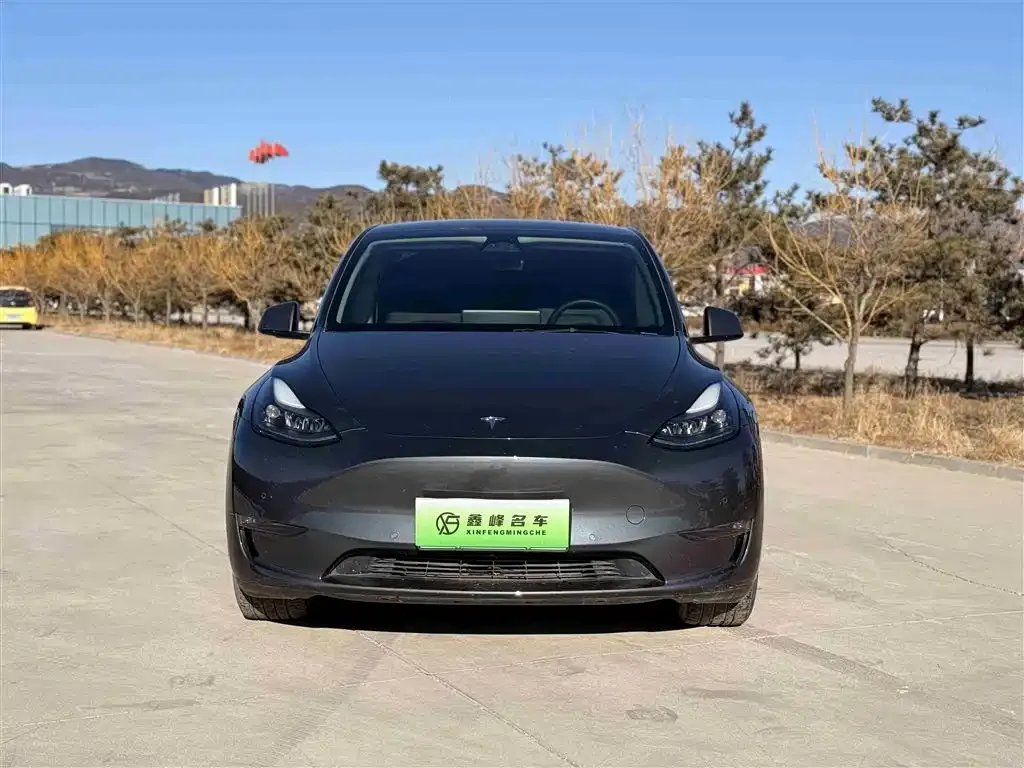 Tesla Model Y 2024 из CN, фото 4