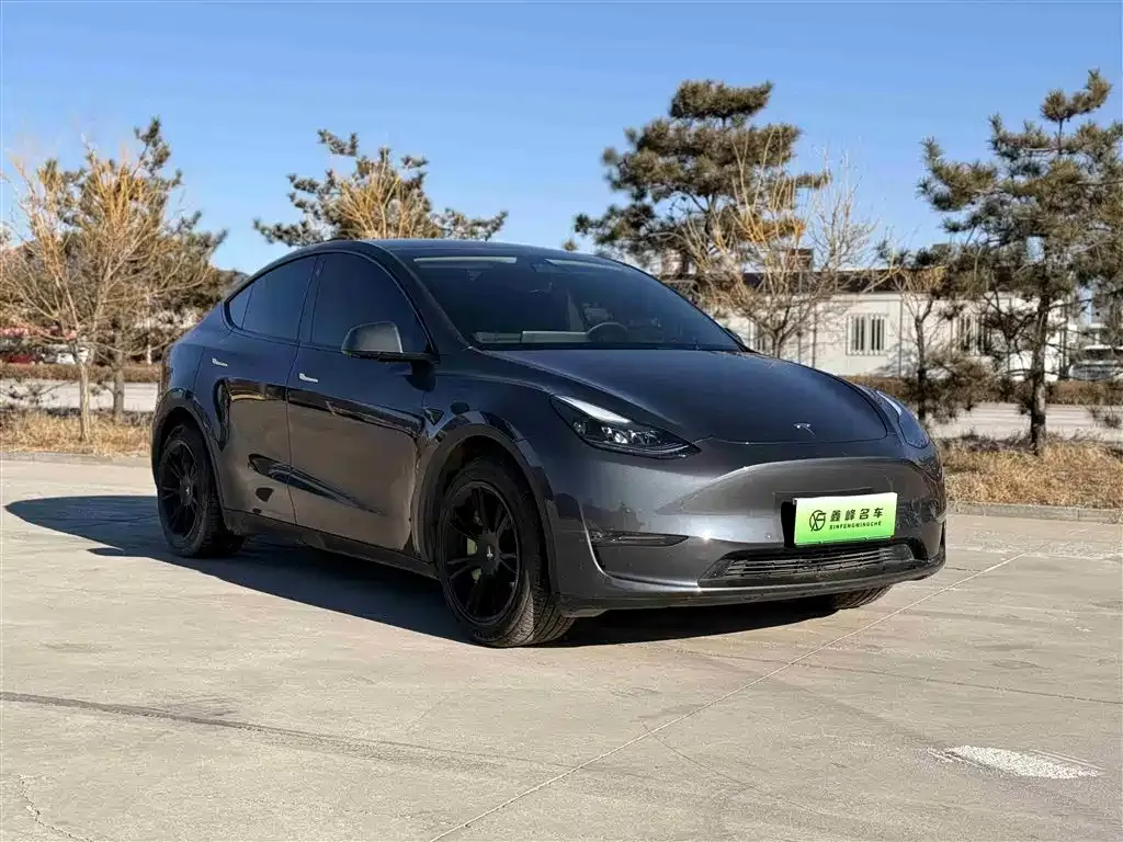 Tesla Model Y 2024 из CN, фото 7