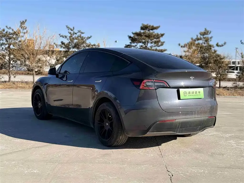 Tesla Model Y 2024 из CN, фото 8