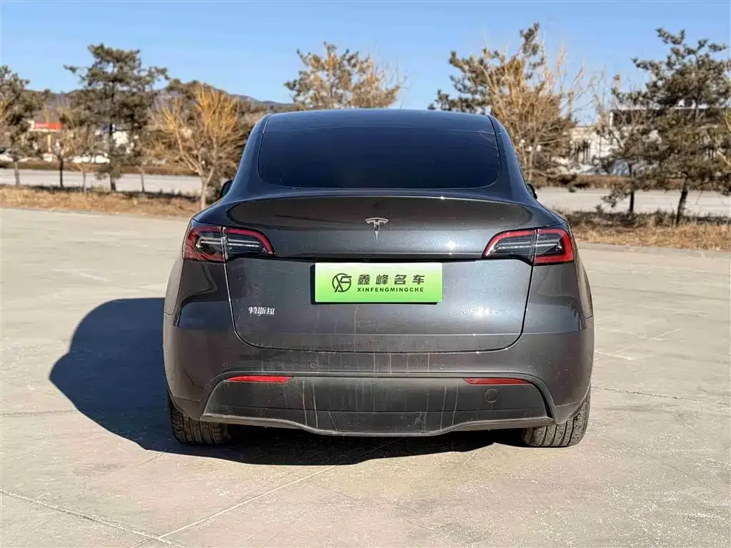 Tesla Model Y 2024 из CN, фото 2