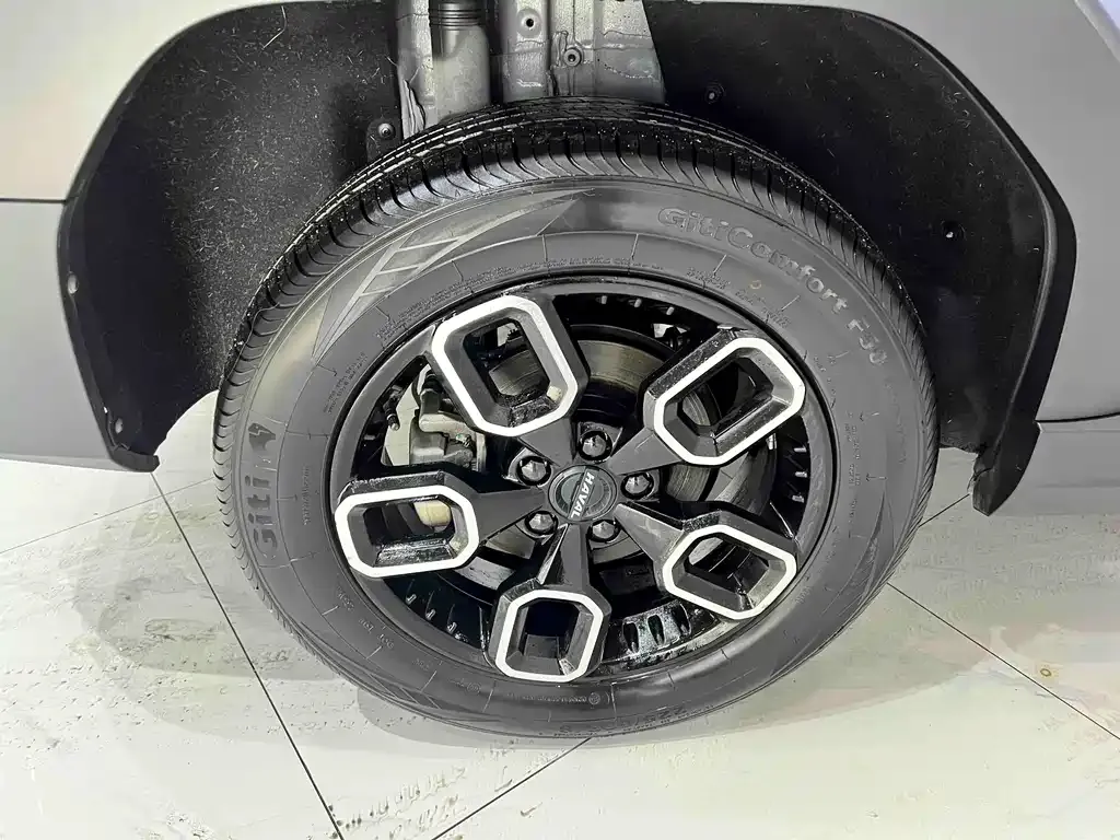 Haval Cool Dog 2023 из CN, фото 10