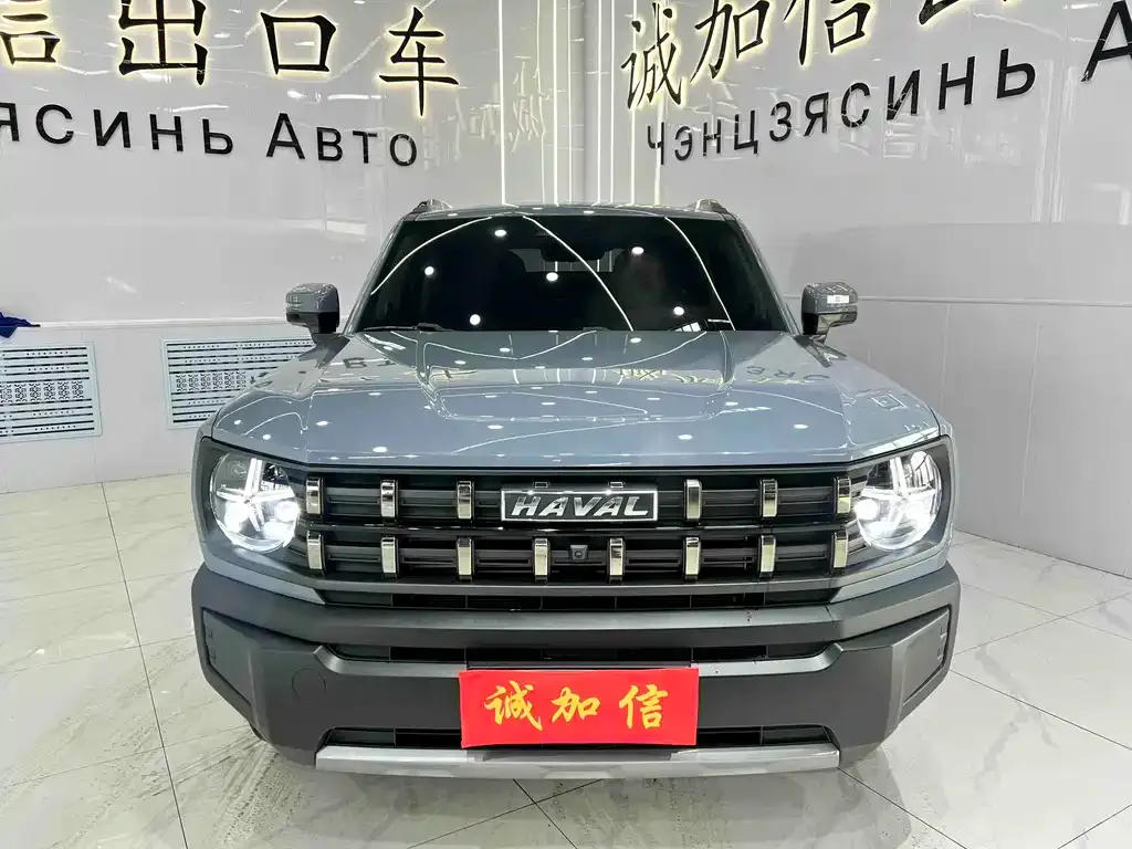 Haval Cool Dog 2023 из CN, фото 2