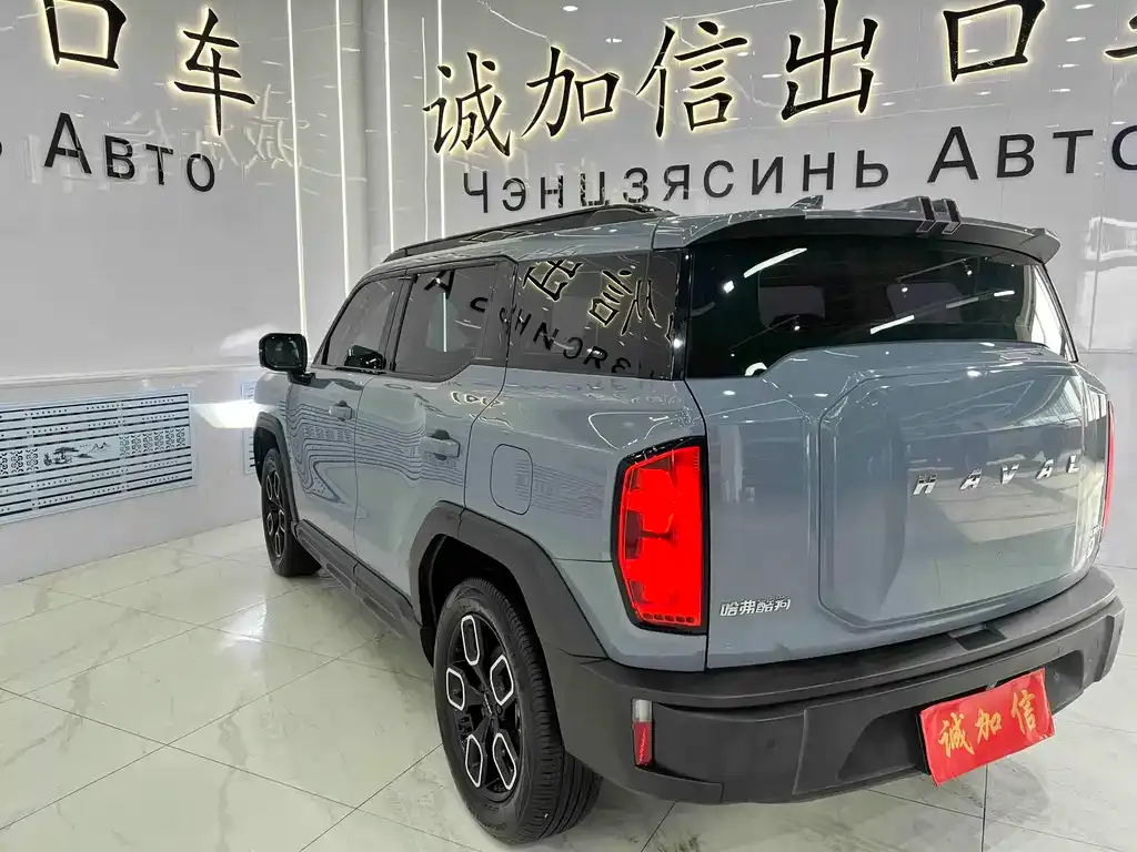 Haval Cool Dog 2023 из CN, фото 7