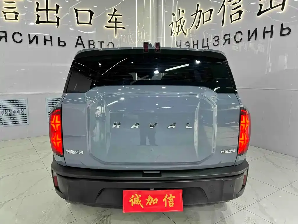 Haval Cool Dog 2023 из CN, фото 5
