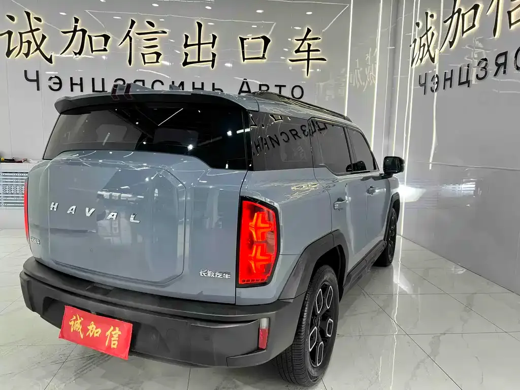 Haval Cool Dog 2023 из CN, фото 6